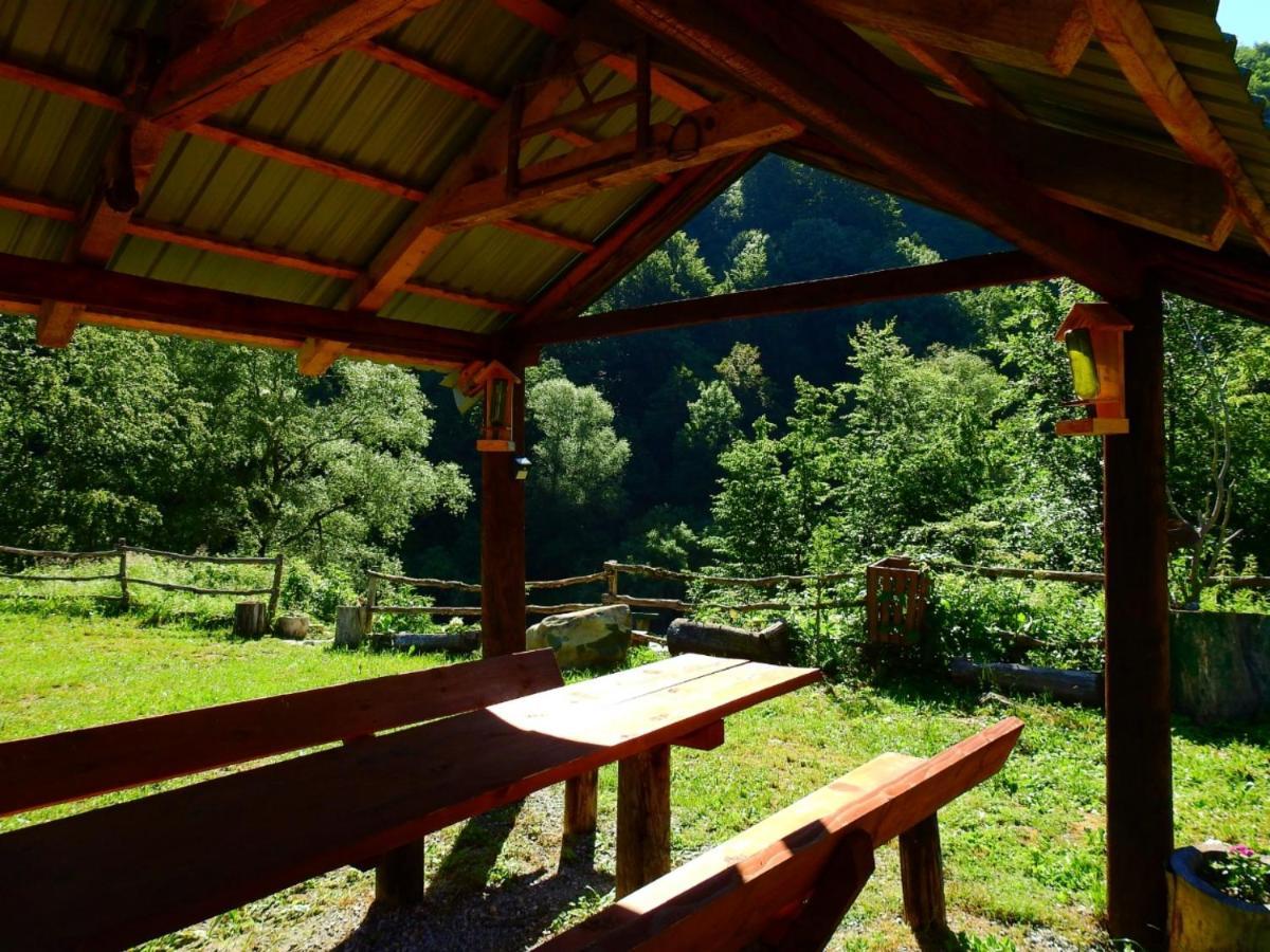 Private Accommodation Kalezic Mojkovac Exterior photo